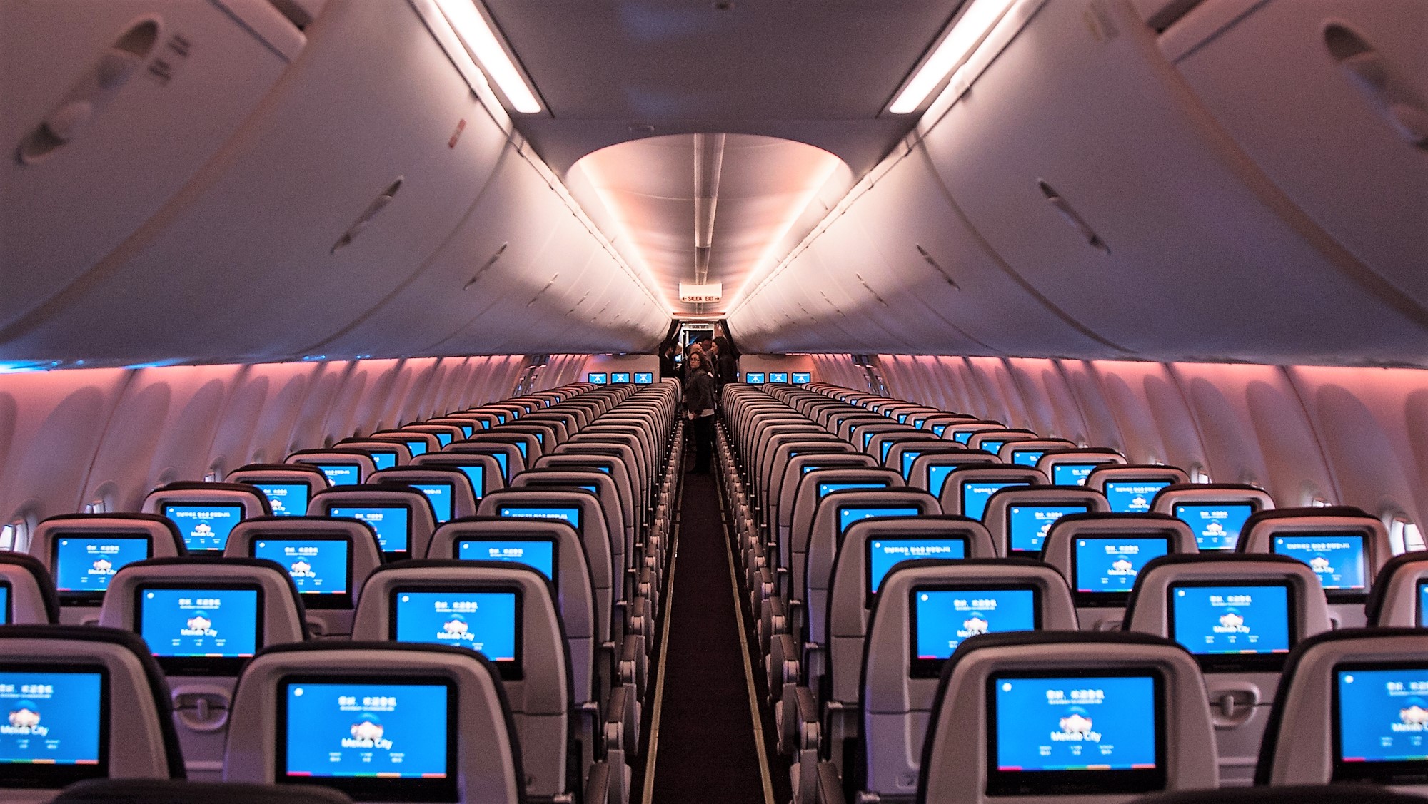 Aeromexico Boeing 737 8 Max 03 Los Interiores Como Asientos