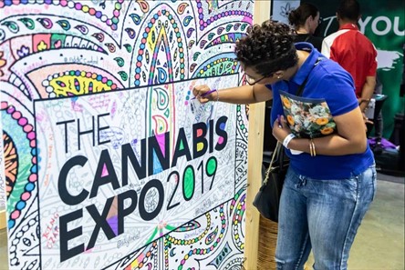 The Cannabis