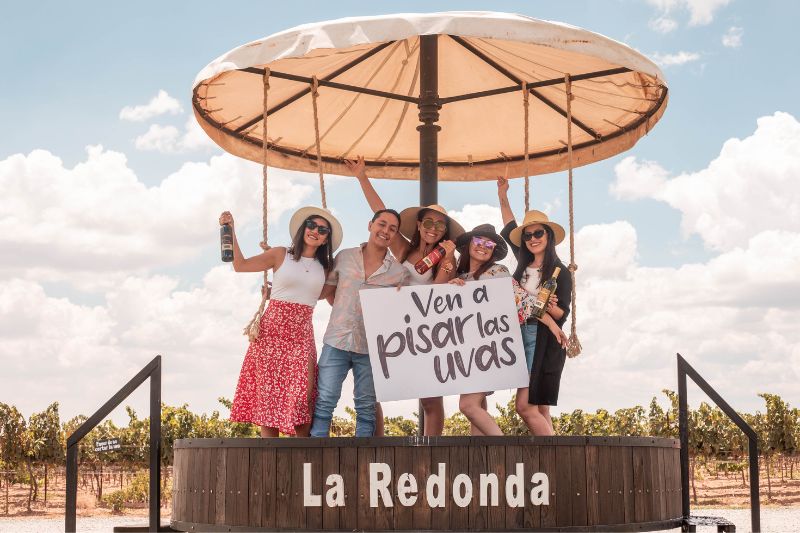 Viñedos La Redonda