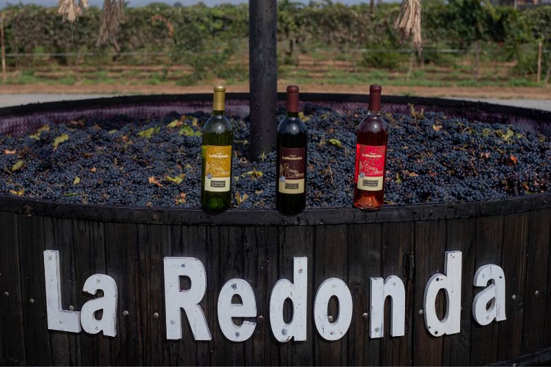 Viñedos La Redonda