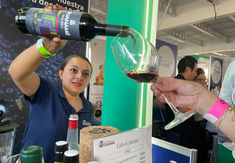 Vive el Vino impulsa el enoturismo en Guanajuato